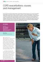 Journal of General Practice Nursing (GPN)